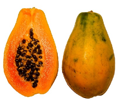 Papaya